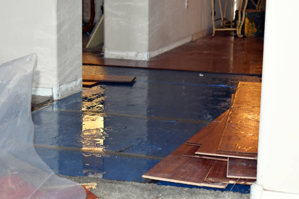 Professional Basement Flood Cleanup technician working in Lake Junaluska, NC